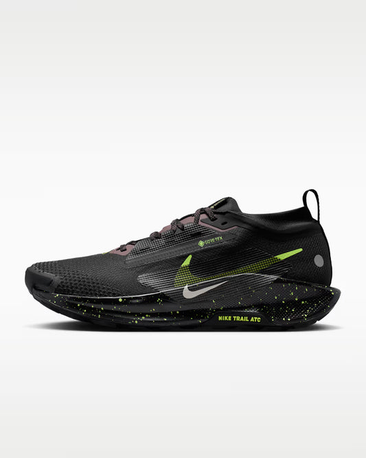 Nike Pegasus Trail 5 GORE-TEX